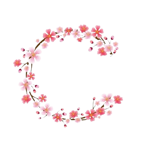 Shape 1